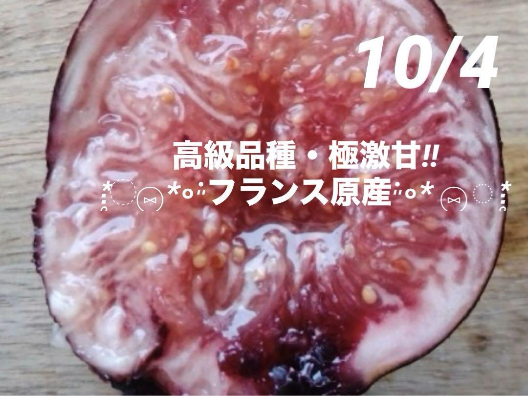 noppo3様 リクエスト 2点 まとめ商品