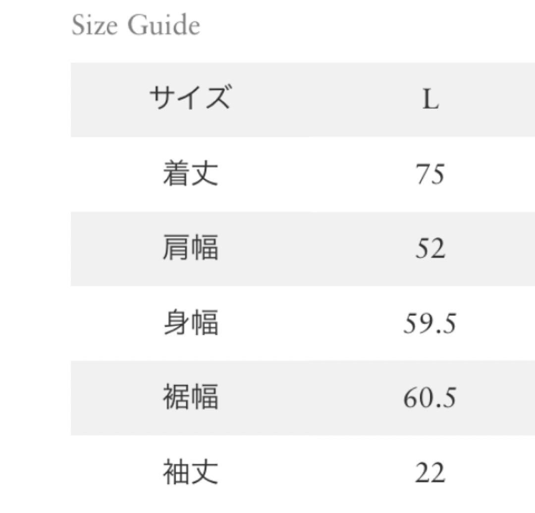保障できる ロンハーマン別注 ラルフローレン Tシャツ Tシャツ