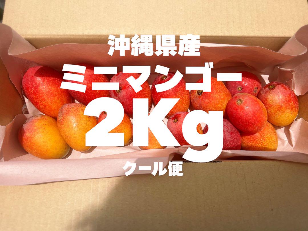 ※最盛期の為、タイムSALE！沖縄県産【完熟ミニマンゴー】クール便 2Kg