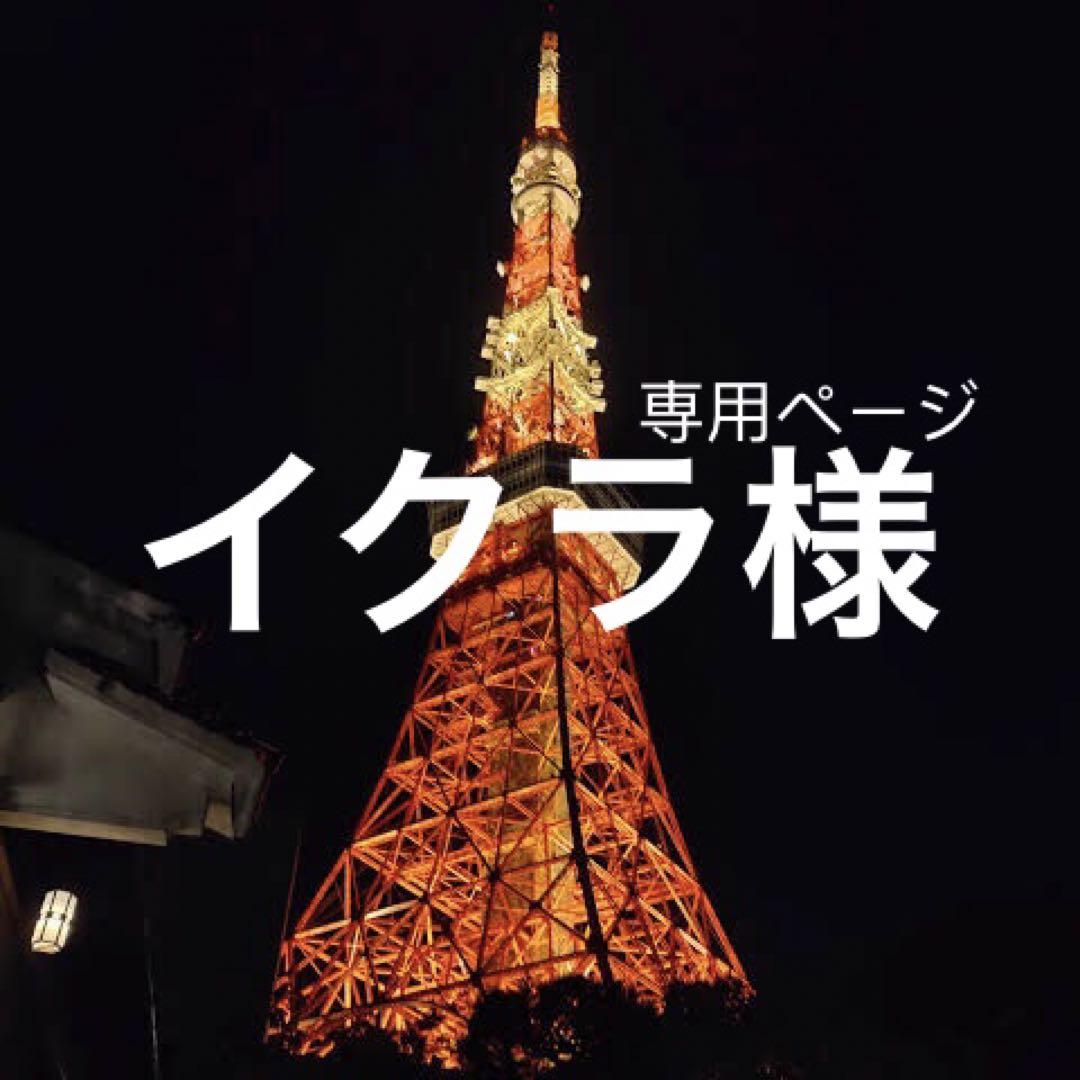 イクラ様専用ページ小物