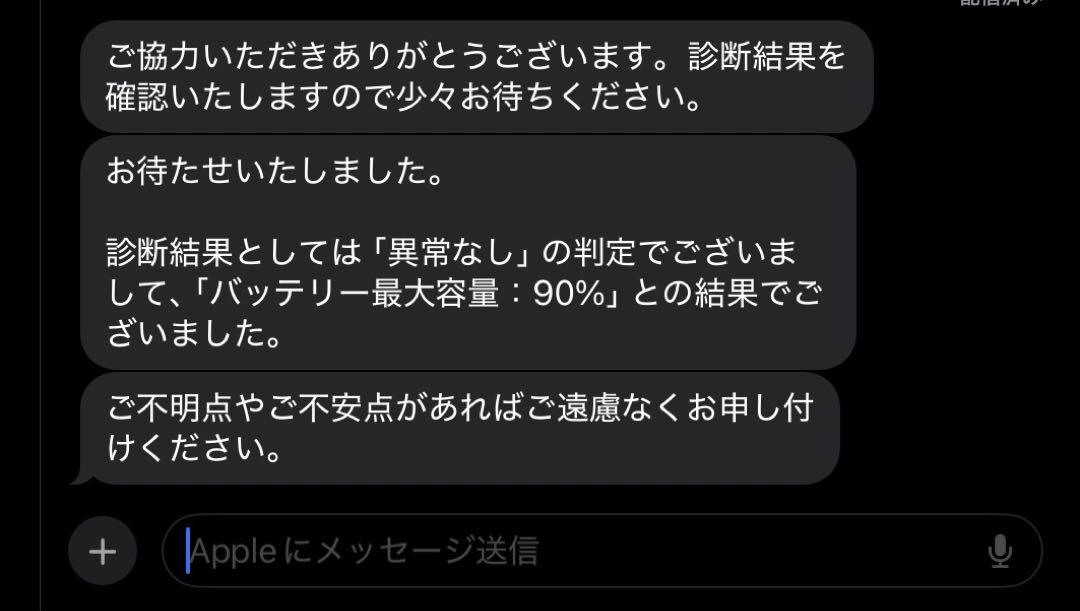 11インチ