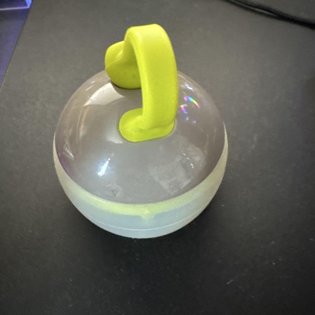 廃盤カラー　スノーピーク　たねほおずき　黄緑