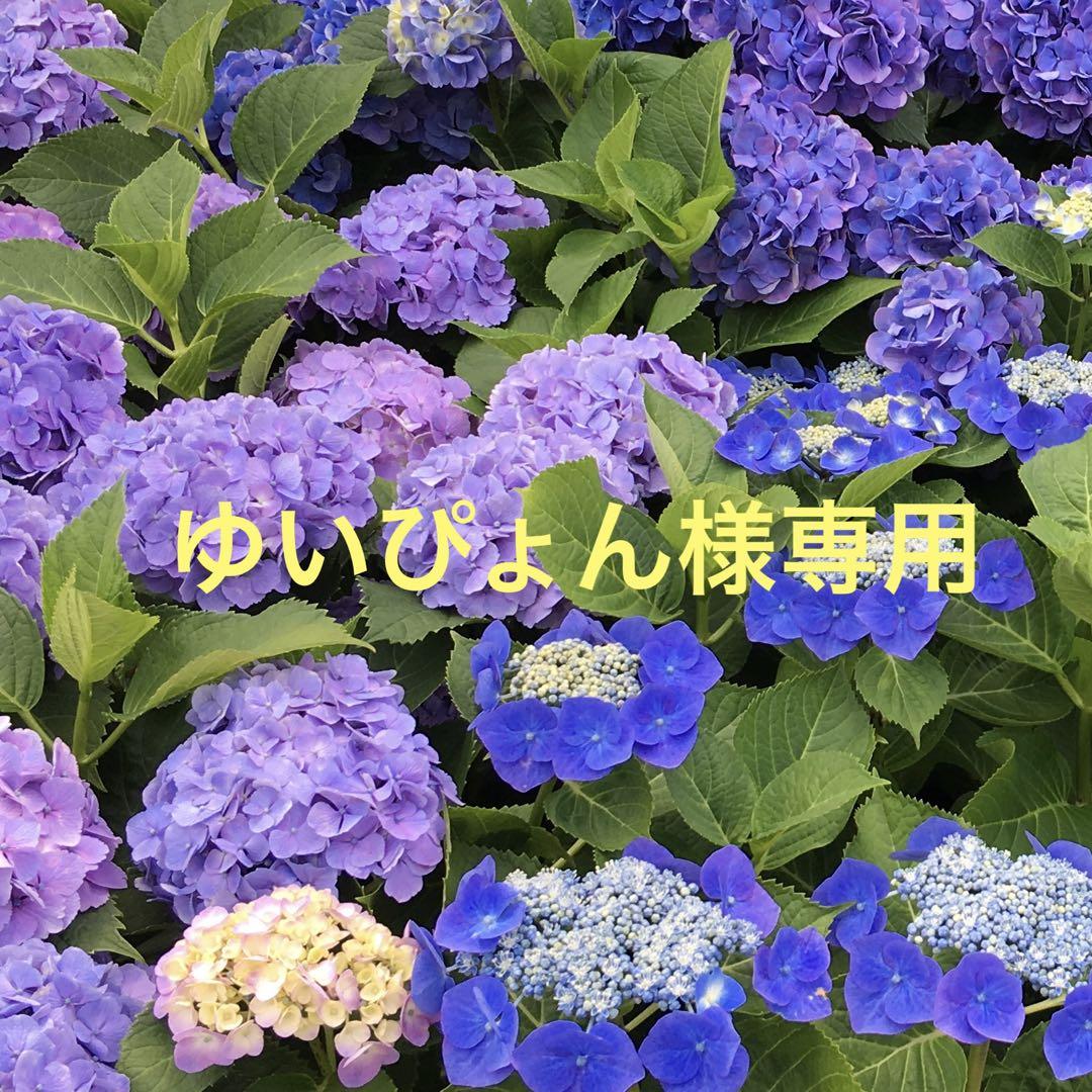 ゆいぴょん様専用