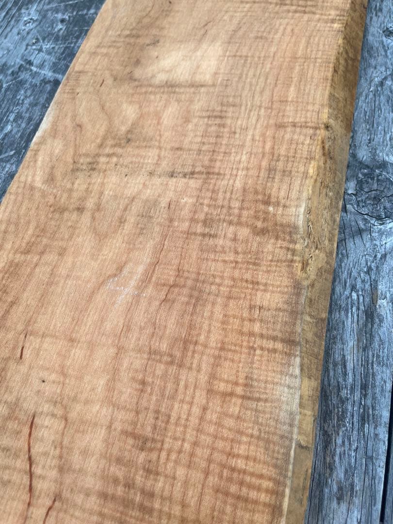 カーリーメープル