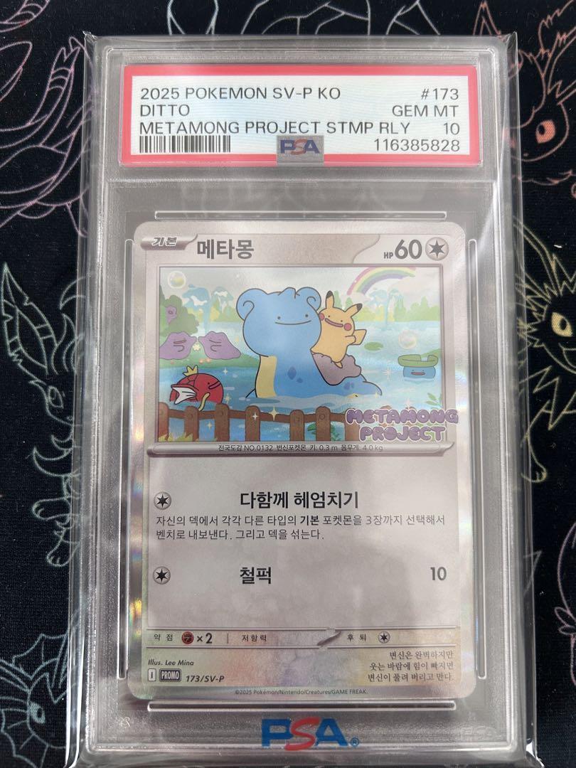 2025 メタモン　韓国　psa10