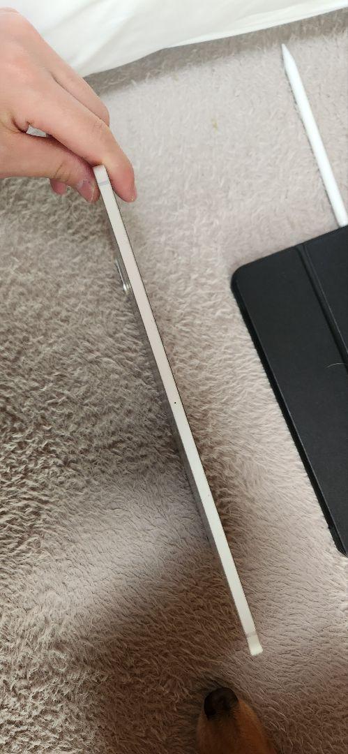 Apple iPad
