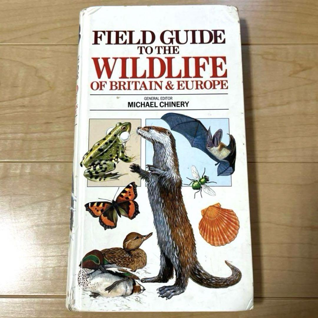 MTH (Magic Tree House )英語絵本38冊 ワークブック1冊
