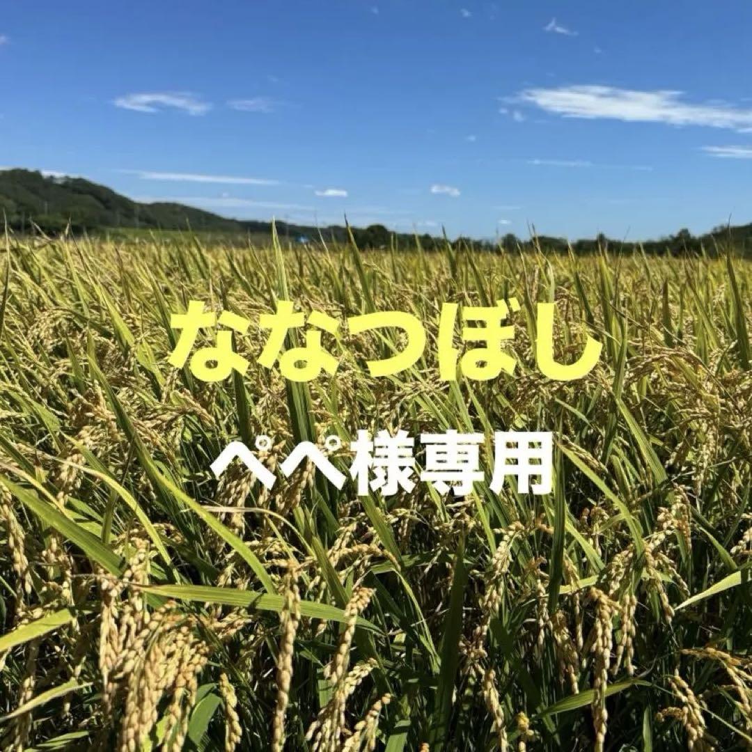 ぺぺ様専用ななつぼし