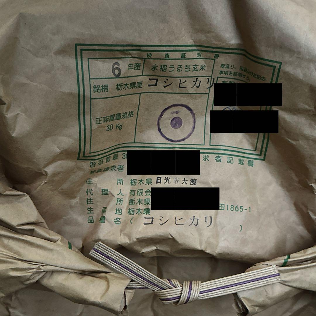 令和6年度 栃木県産 コシヒカリ 玄米10キロ