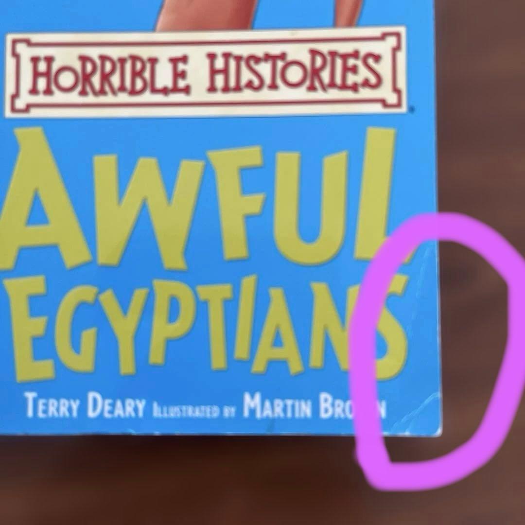 HORRIBLE HISTORIES 英語ペーパーバック　23冊セット