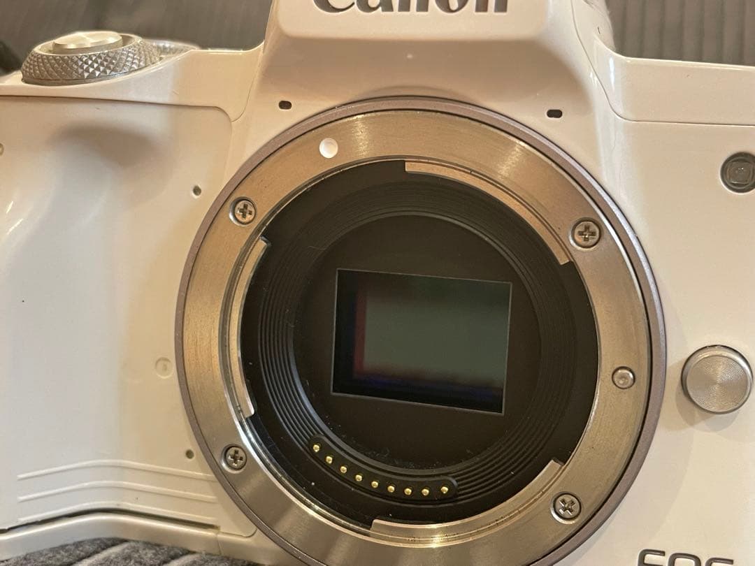 Canon EOS Kiss M ボディ&標準ズームレンズ Canon EOS Kiss M ボディ&標準ズームレンズ