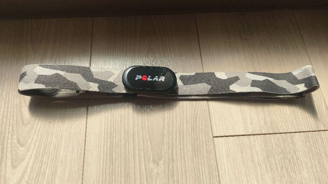 polar h10