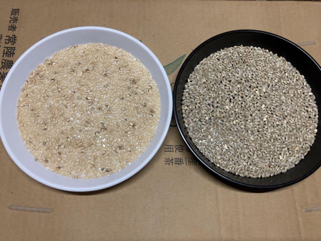 農薬不用 コシヒカリ 10kg 令和6年(2024) 茨城 おこめ 白米/玄米
