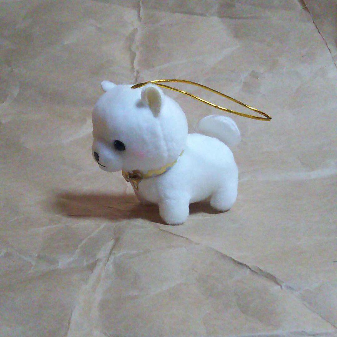 Amama様専用 豆柴三兄弟 しらたま Shop At Mercari From Japan Buyee Bot Online Amama様専用 豆柴三兄弟 しらたま Shop At Mercari From Japan Buyee Bot Online