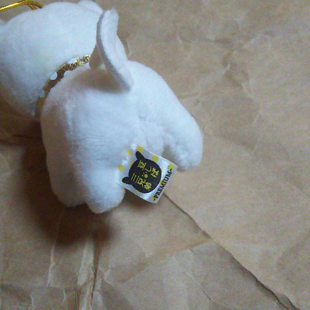 Amama様専用 豆柴三兄弟 しらたま Shop At Mercari From Japan Buyee Bot Online Amama様専用 豆柴三兄弟 しらたま Shop At Mercari From Japan Buyee Bot Online