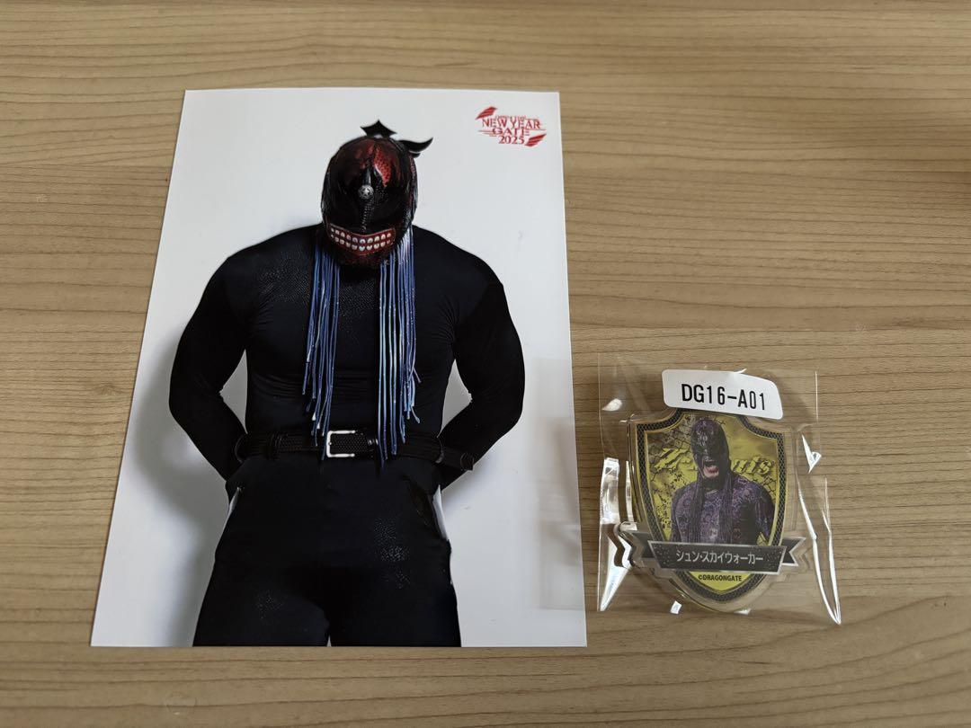 DRAGONGATE ドラゴンゲート シュン・スカイウォーカー まとめ売り