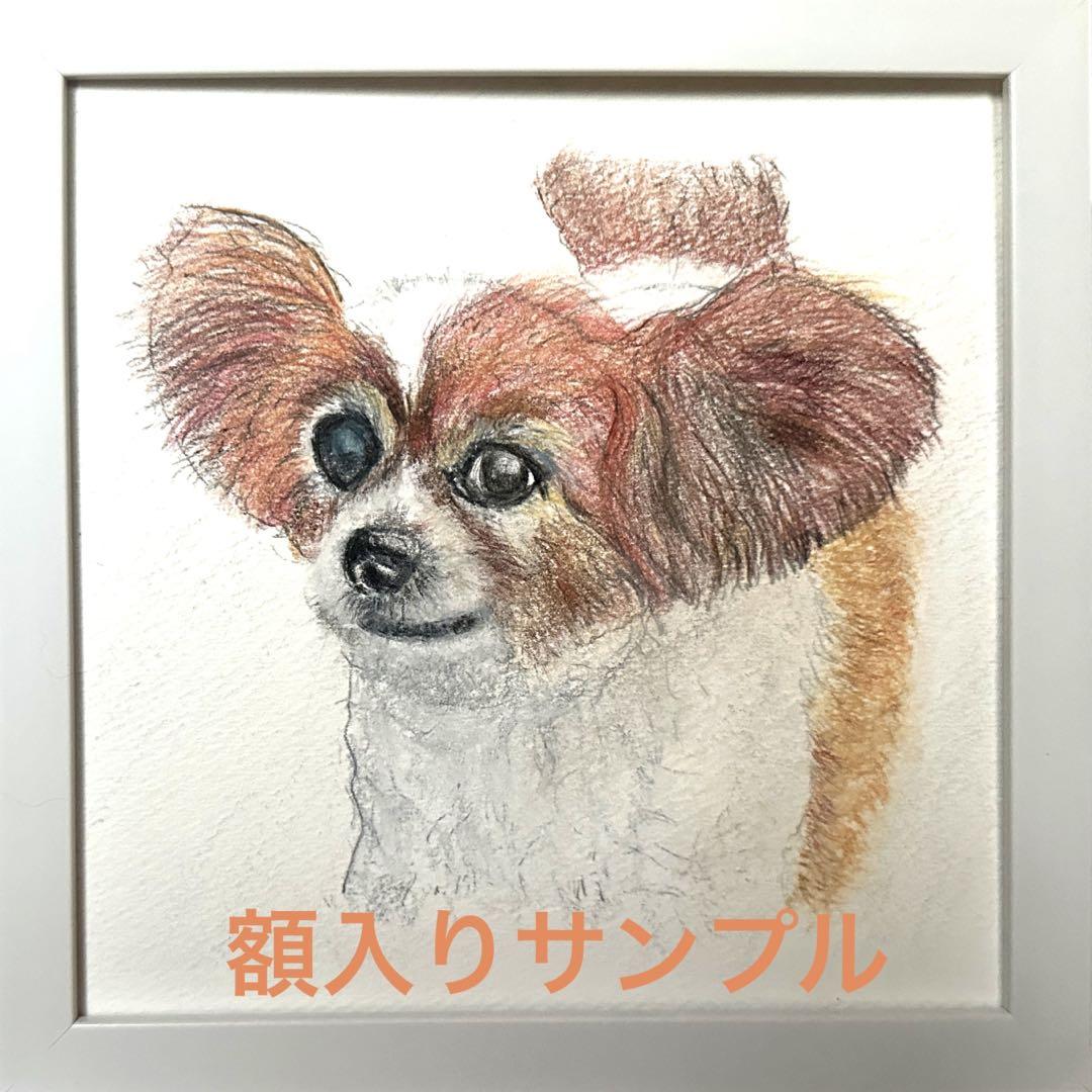 うちの子描きます❣️(わんちゃん似顔絵)完全オーダーメイドご依頼ページ