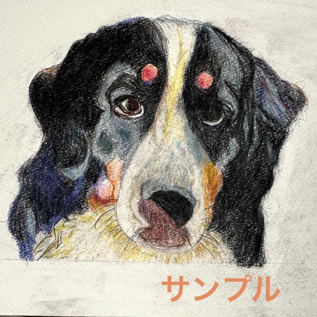 うちの子描きます❣️(わんちゃん似顔絵)完全オーダーメイドご依頼ページ