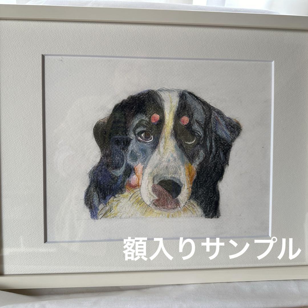 うちの子描きます❣️(わんちゃん似顔絵)完全オーダーメイドご依頼ページ