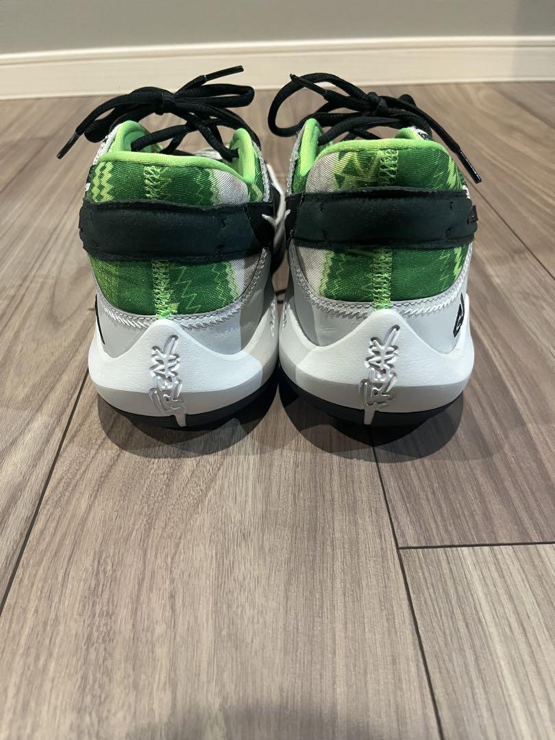 NIKEズームフリーク2