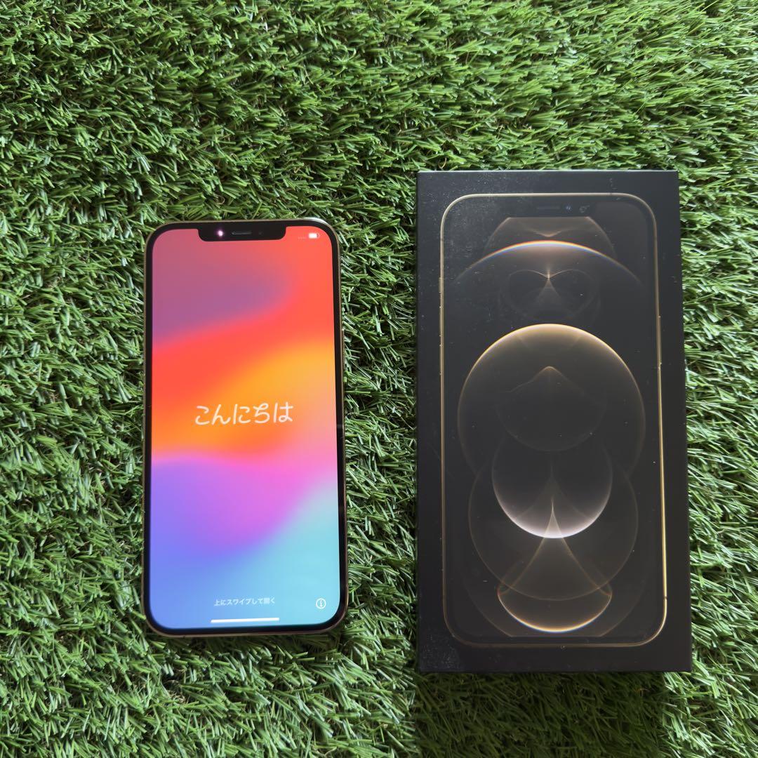アメリカ版 iPhone12pro シャッター音無し256GB SIMフリー