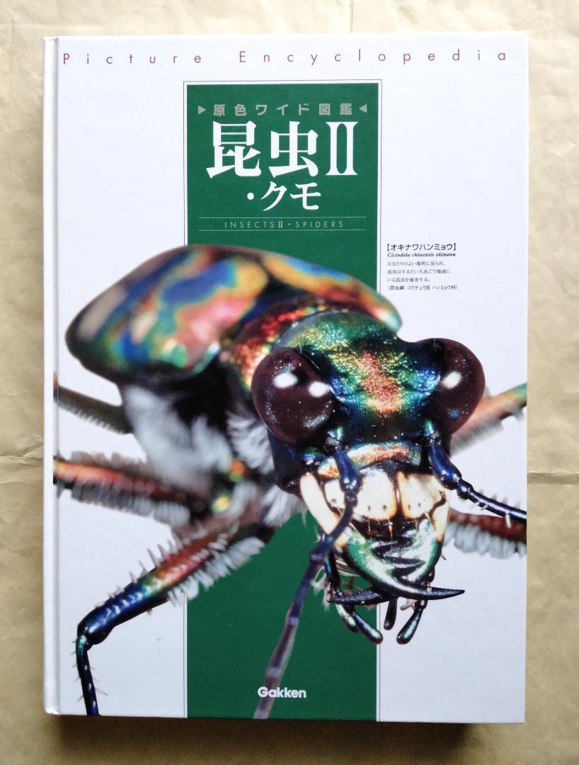 原色日本昆虫図鑑 Ⅰ Ⅱ コレクションBOX Ⅰ Ⅱ フルコンプセット