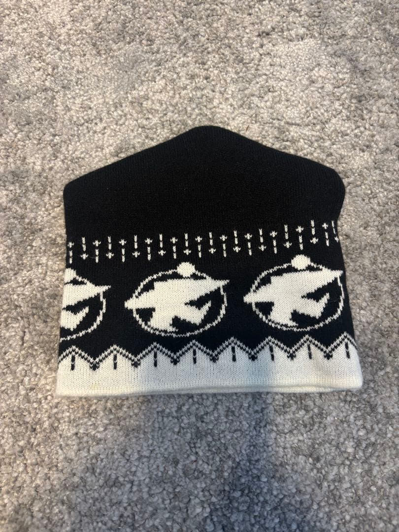 ステューシー　Stussy ビーニー　ビンテージ