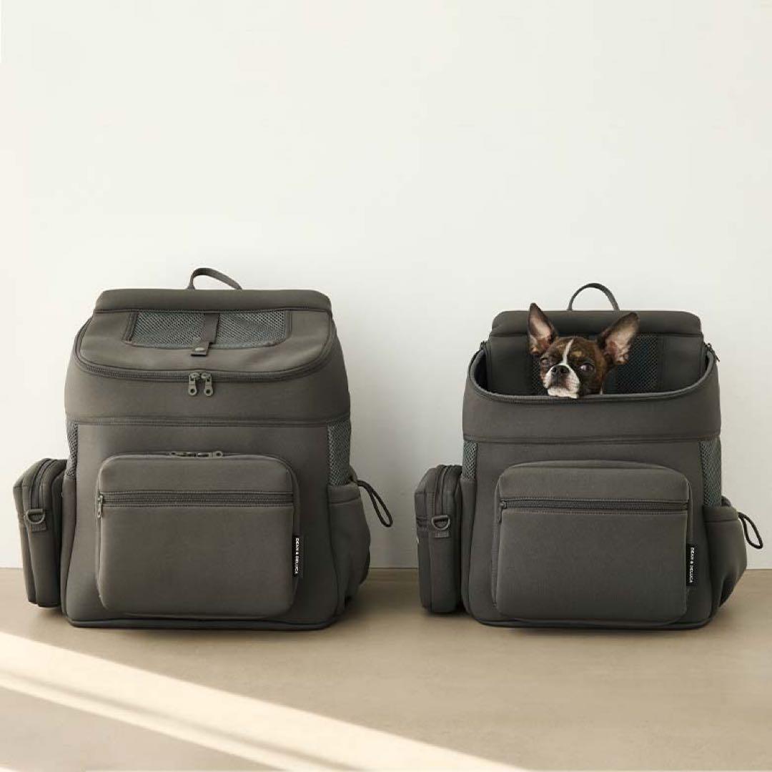 シティードック