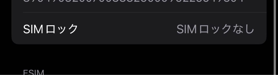 Apple iPhone13 Pro グラファイト　256gb simフリー