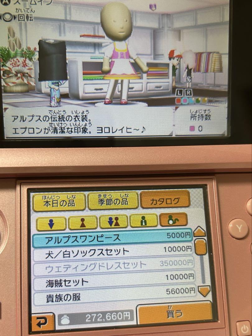 トモダチコレクション新生活 カセット レアアイテム多数 3DS