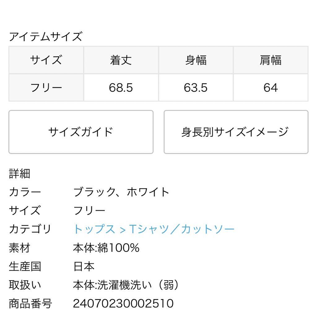 ATON/エイトン 12/-AIR SPININNG OVERSIZED PUL