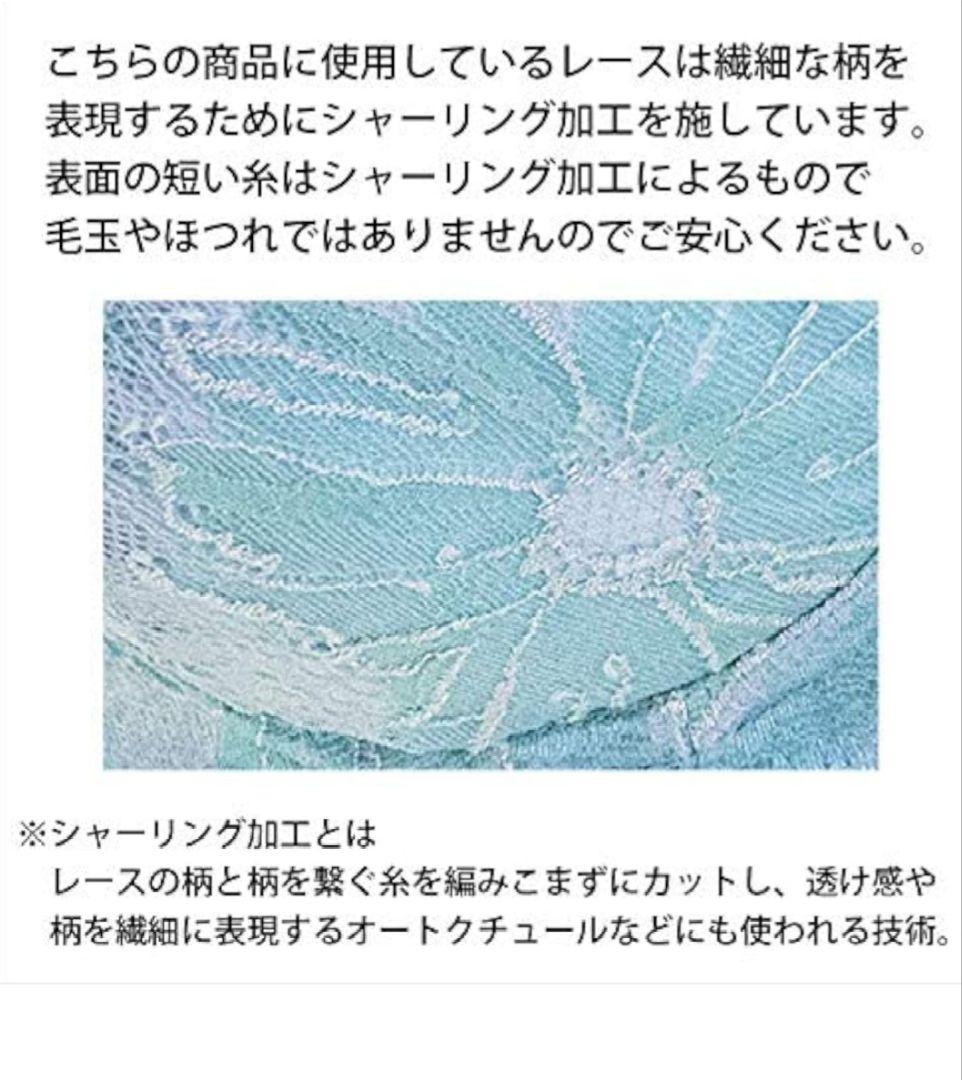 ブラデリス ニューヨーク BRADELIS NY エリカブラ 65E パンティL
