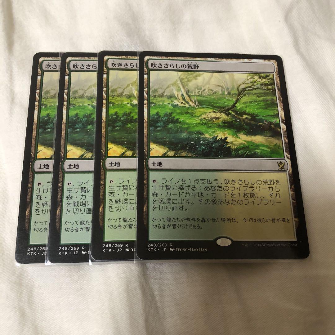 お得セット 吹きさらしの荒野 英語 Foil Mtg マジック ザ ギャザリング Www Solidarite Numerique Fr