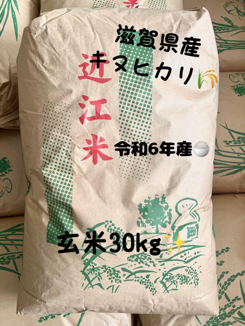 滋賀県産 キヌヒカリ 玄米 30kg 18,615円