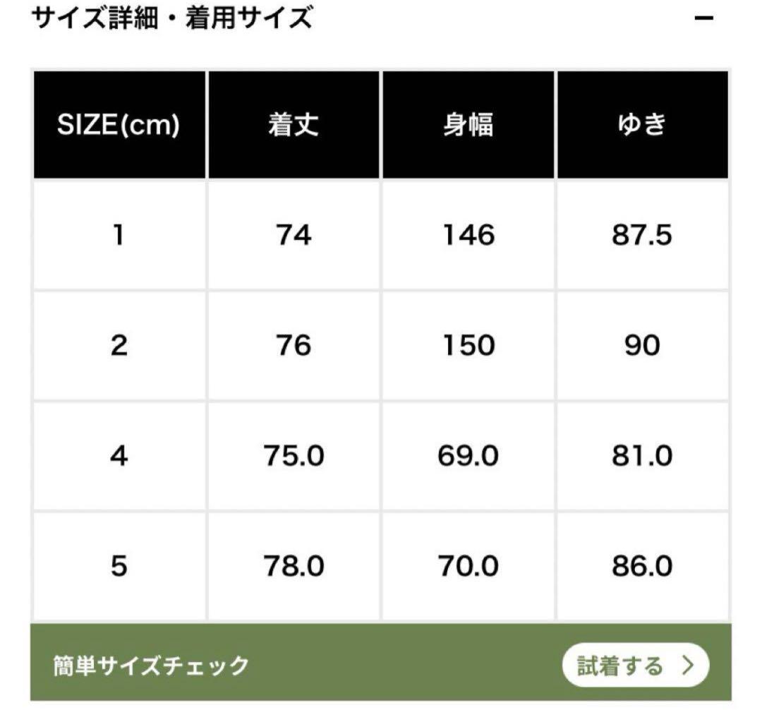 DESCENTE ALLTERRAIN デサント マウンテニア 水沢ダウン