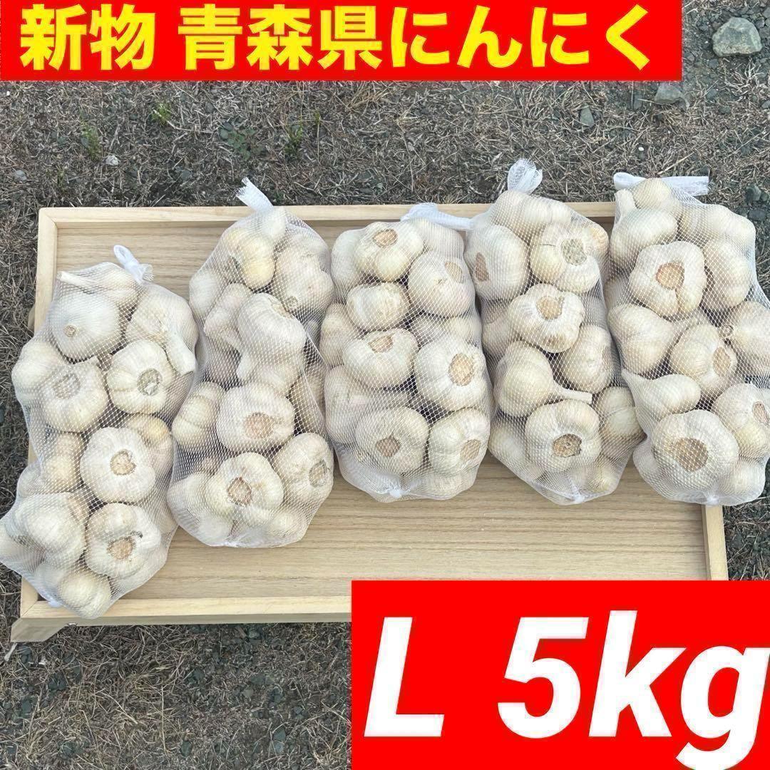 【大人気】新物 青森県産 にんにく L 5kg 福地ホワイト 種 加工 激安