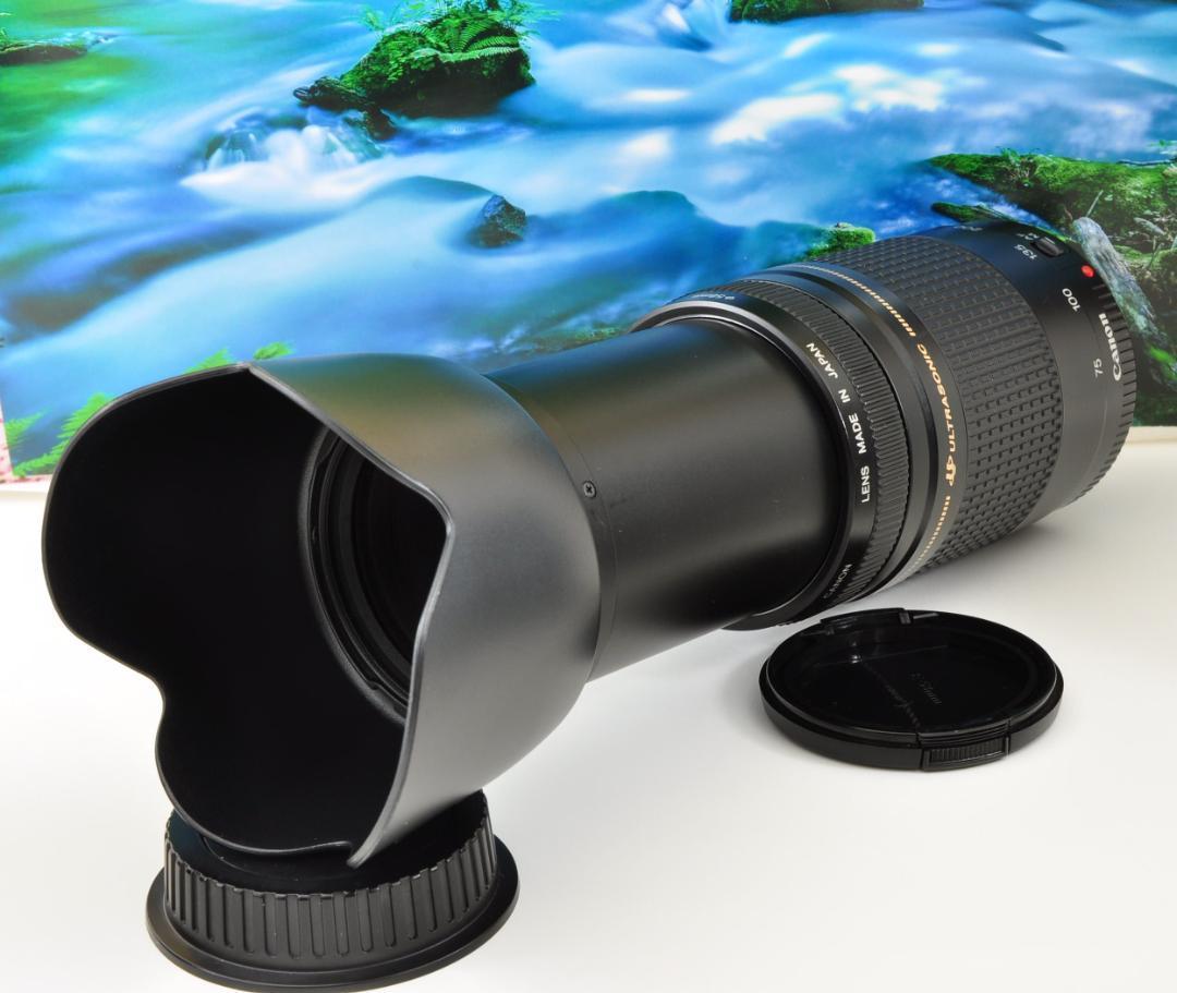 ★★Canon Zoom LENS EF 75-300mm キヤノン ★★5