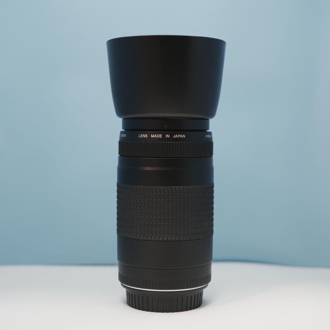 Canon純正 75-300mm 望遠レンズ 美品 a3698