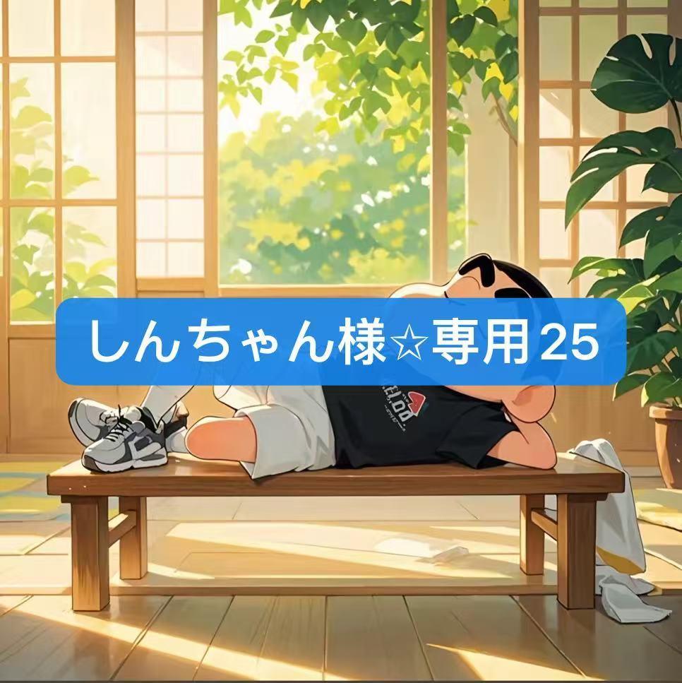 しんちゃん様✩専用25