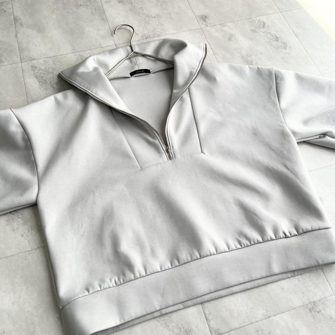 【美品】allureville ハーフジップ プルオーバー スエット トップス
