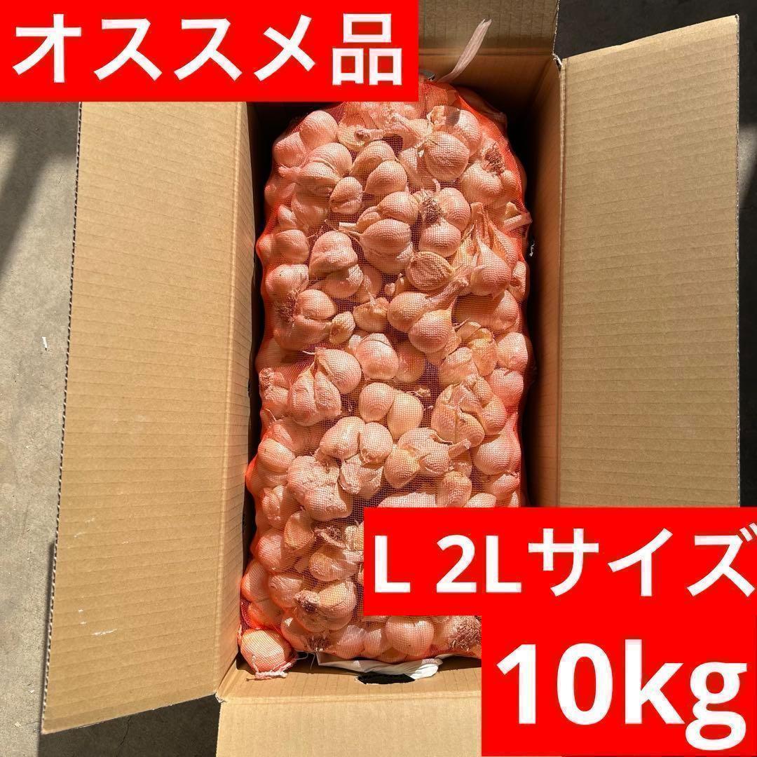 【超セール】青森県産にんにく L 2L 10kg 福地ホワイト六片 加工