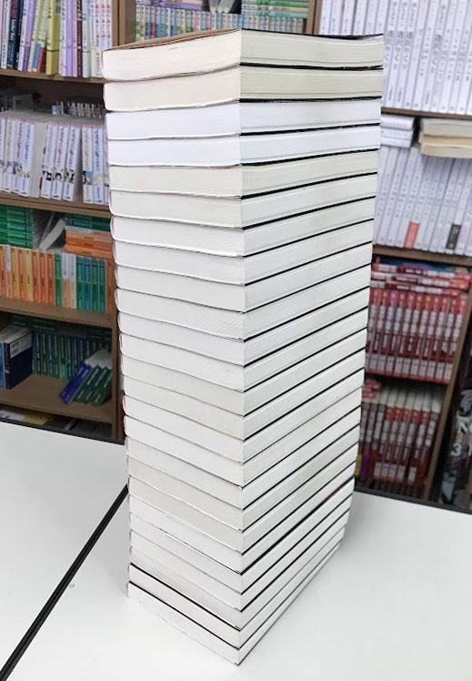 送料無料 ろくでなしブルース 文庫版 全25巻 完結 森田まさのり