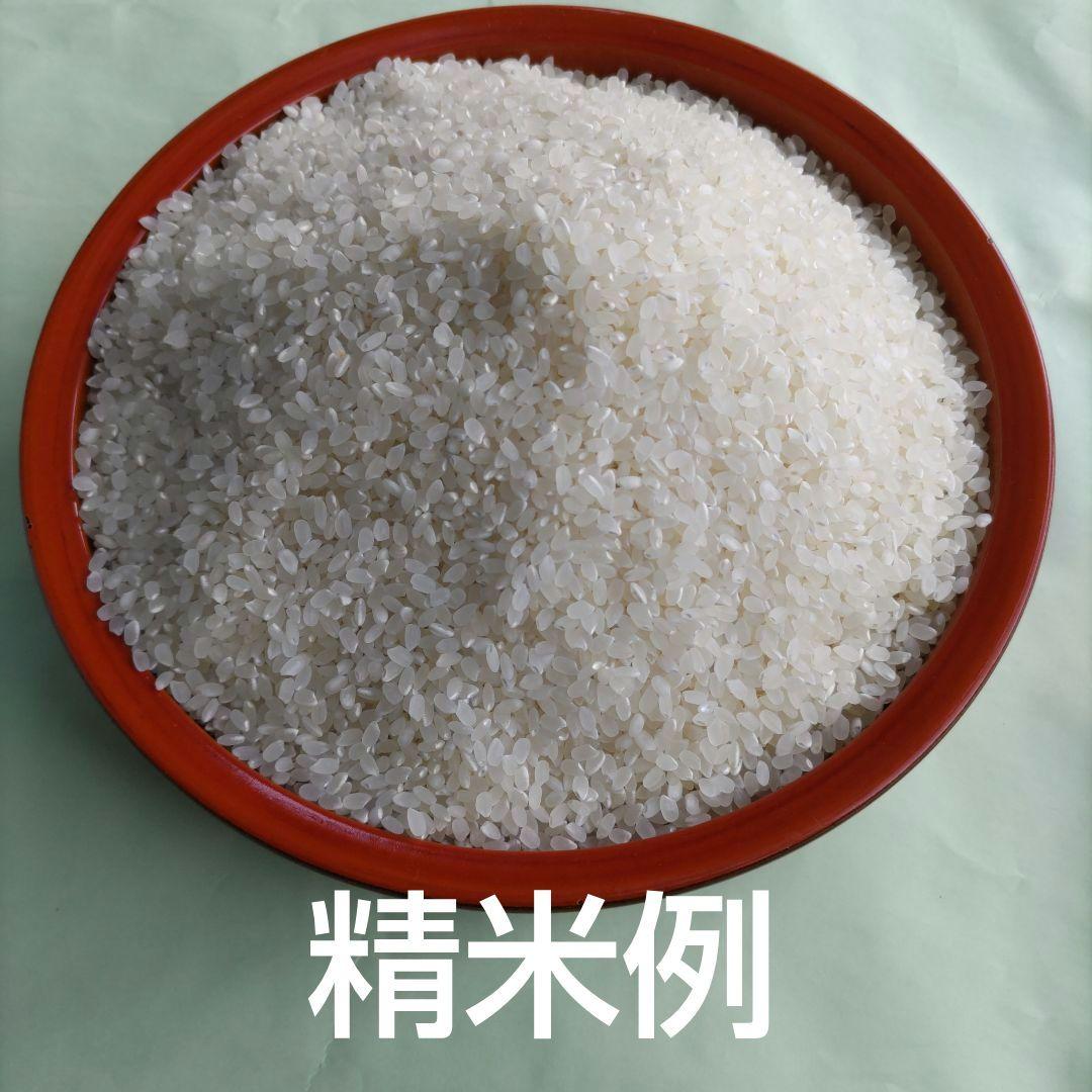 令和6年産　宮城県登米市産ひとめぼれ　精米10kg