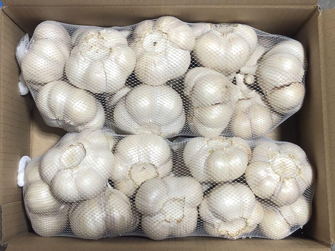 青森県産　にんにく　Ｌ　２ｋｇ　大特価
