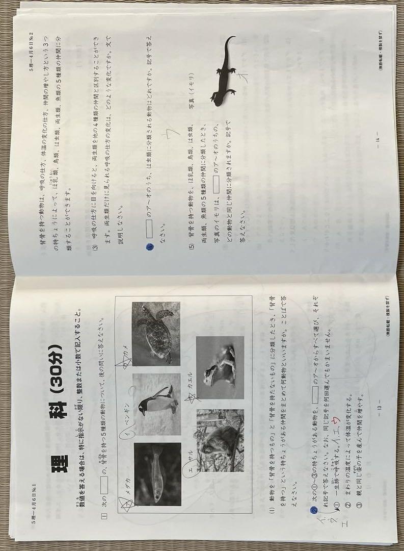 2024年❗️日能研5年(前期)全国公開模試(4月27日は未使用‼️)