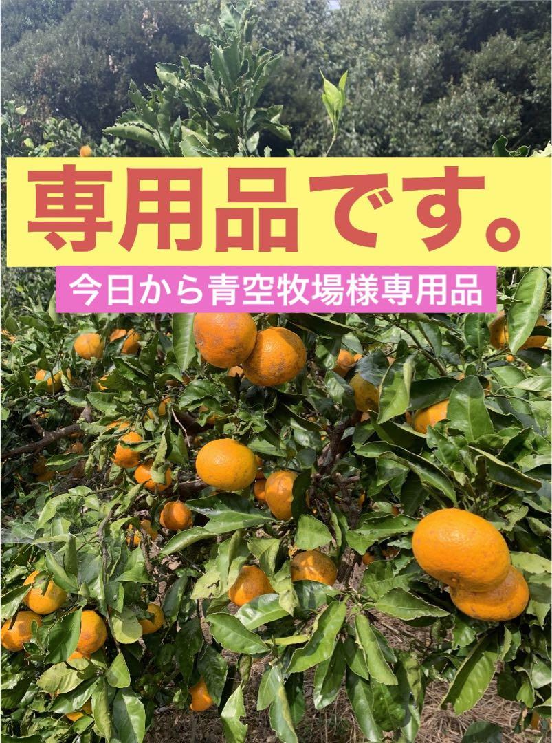 専用品です。 専用品です。
