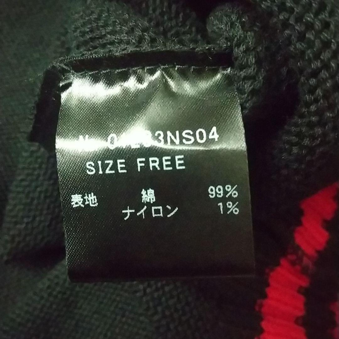 モデル ヒステリックグラマー