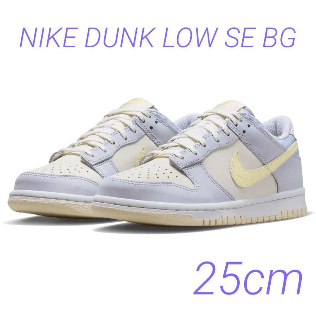 NIKE DUNK LOW SE BG 25cm 新品　匿名配送