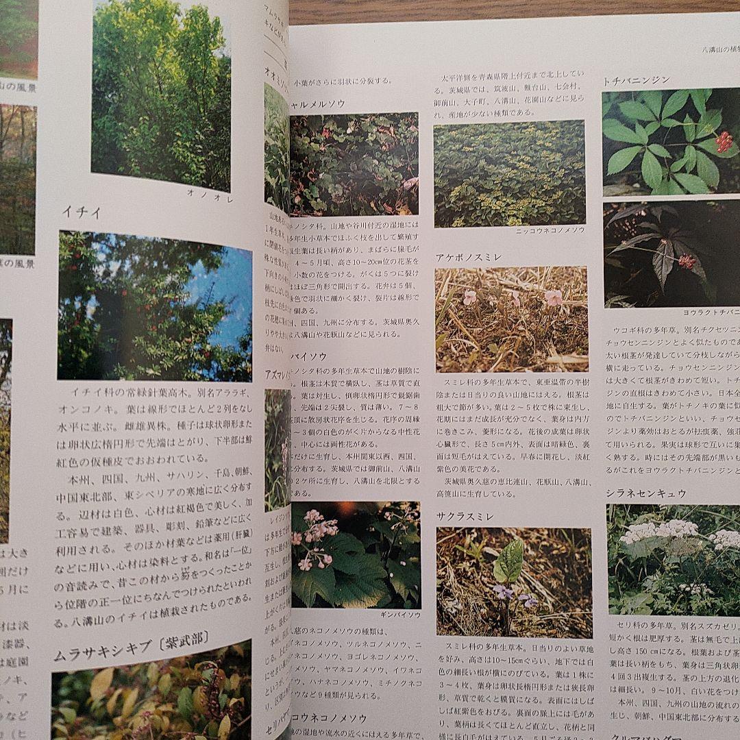 「奥久慈の植物と自然の風景」 小室健 著 奥久慈の植物と自然の風景」 小室健 著
