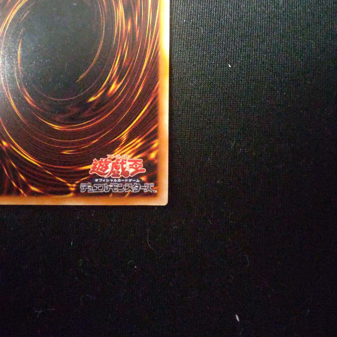 遊戯王 真紅眼の黒竜 レリーフ 1枚 301